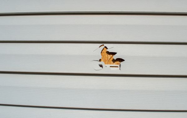 Cost of Siding Hole Patching in Pasadena