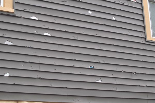 Cost of Damaged Siding Replacement in Pasadena